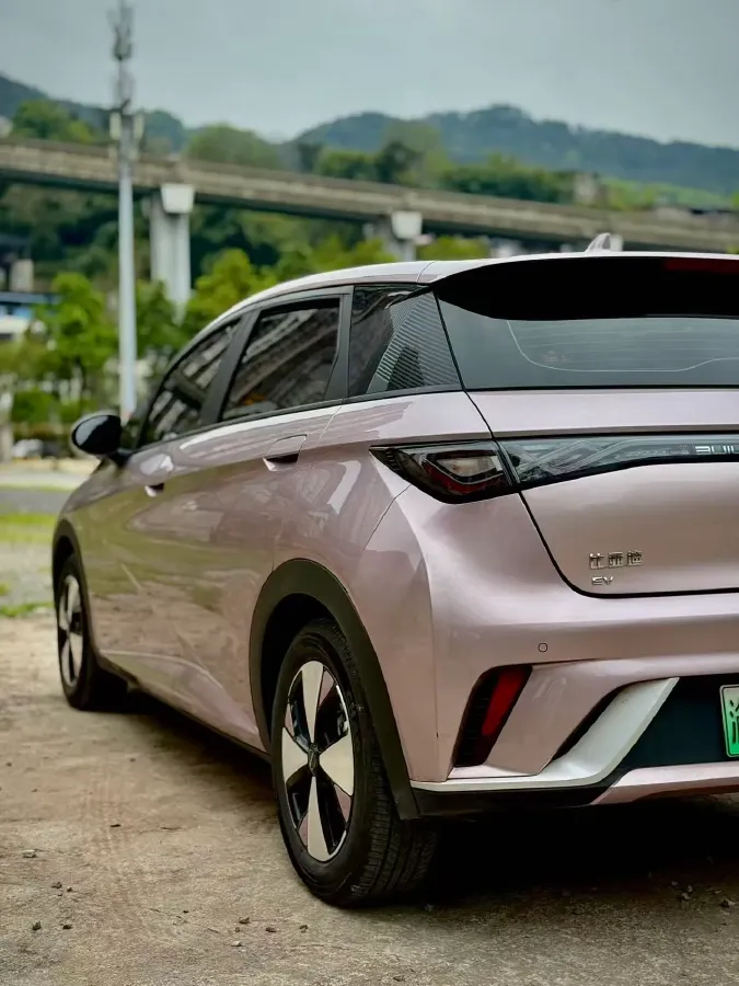 2023 BYD Dolphin BEV 44.928KWH,autocango,china used car exporter,china ev exporter,chinese used car exporter,chinese used ev exporter