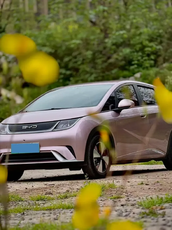 2023 BYD Dolphin BEV 44.928KWH,autocango,china used car exporter,china ev exporter,chinese used car exporter,chinese used ev exporter