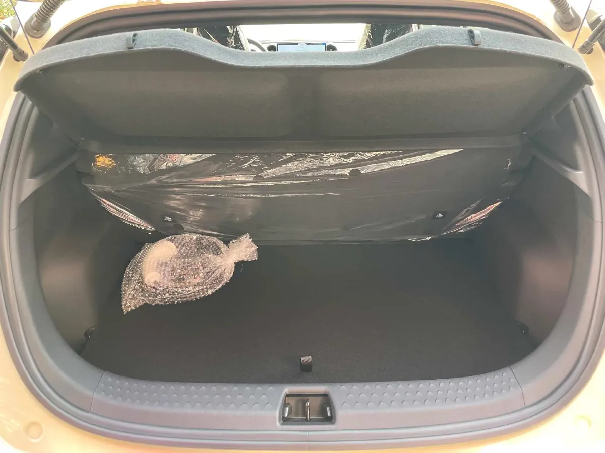 2025 BYD Dolphin BEV 44.928KWH,autocango,china used car exporter,china ev exporter,chinese used car exporter,chinese used ev exporter