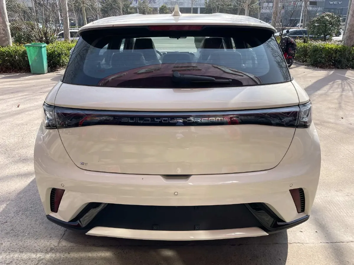 2025 BYD Dolphin BEV 44.928KWH,autocango,china used car exporter,china ev exporter,chinese used car exporter,chinese used ev exporter