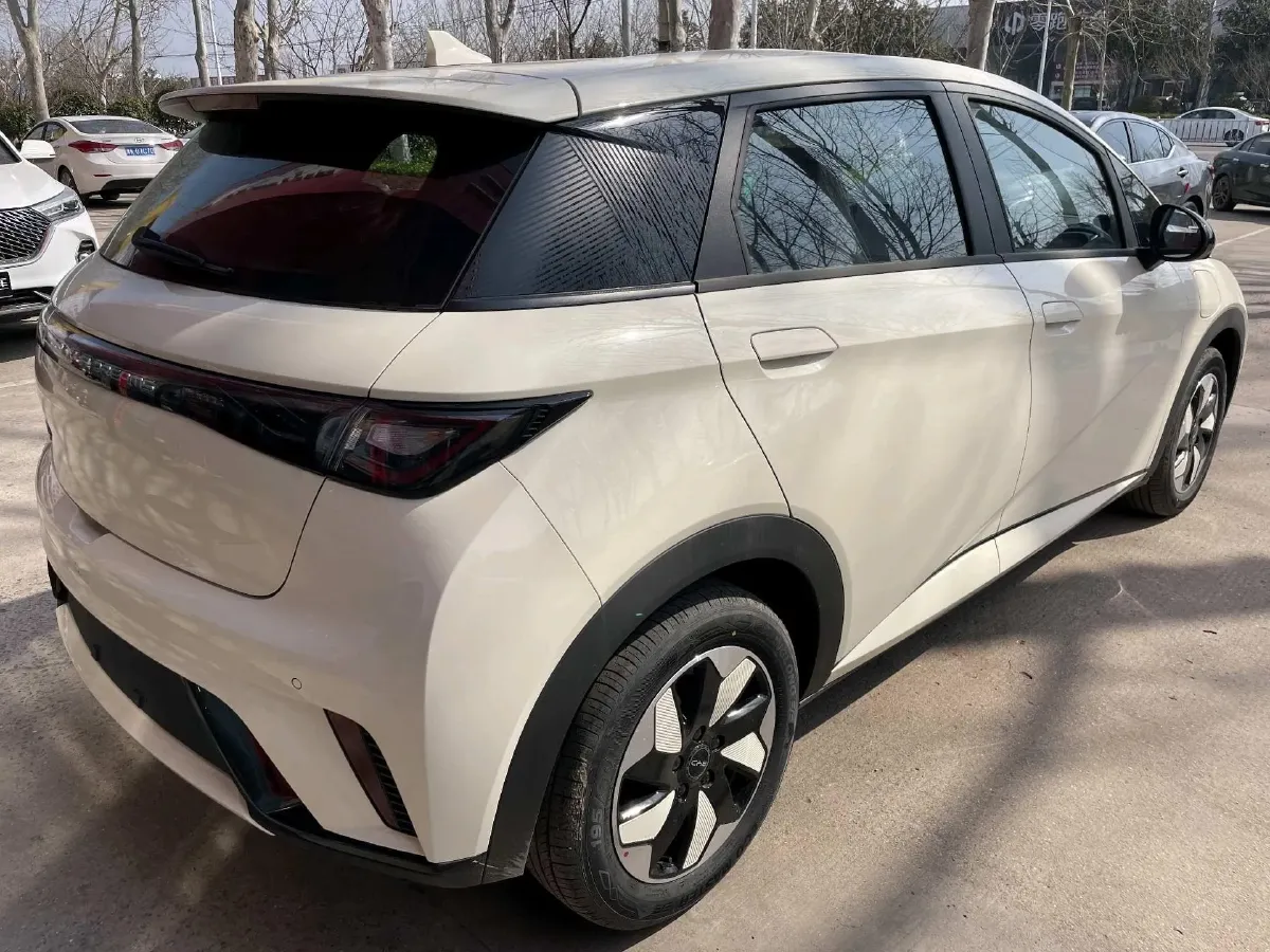 2025 BYD Dolphin BEV 44.928KWH,autocango,china used car exporter,china ev exporter,chinese used car exporter,chinese used ev exporter