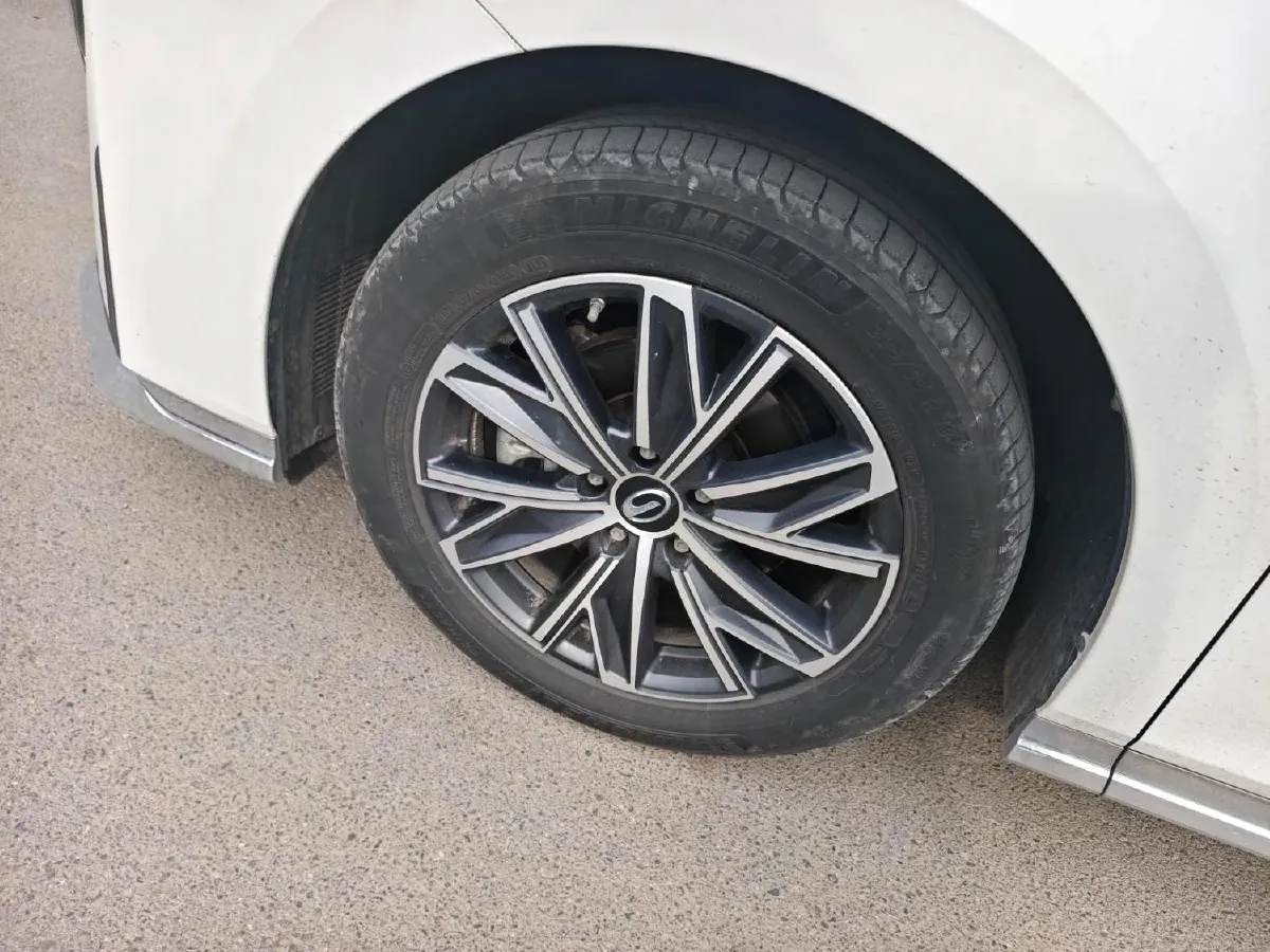 2024 GAC Trumpchi M8 2.0T 252HP L4 8AT,autocango,china used car exporter,china ev exporter,chinese used car exporter,chinese used ev exporter