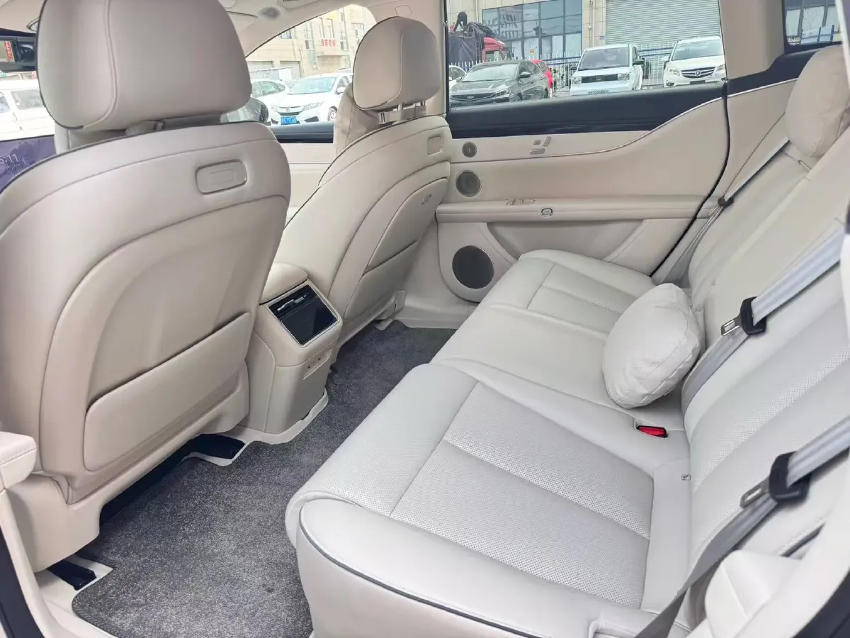 2025 HIMA Stelato S9T REEV 160HP REEV,autocango,china used car exporter,china ev exporter,chinese used car exporter,chinese used ev exporter