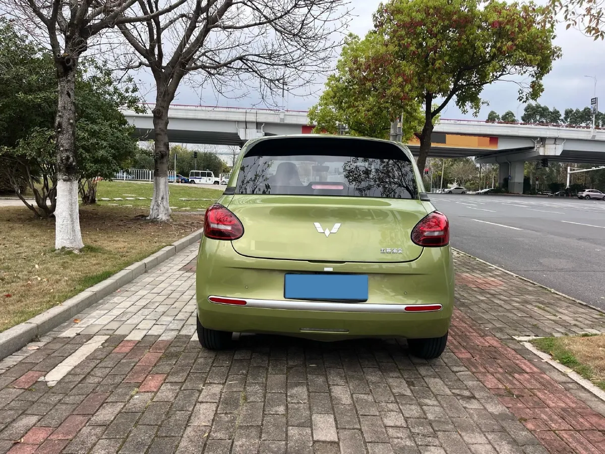 2023 WuLing BinGuo BEV 31.9KWH,autocango,china used car exporter,china ev exporter,chinese used car exporter,chinese used ev exporter