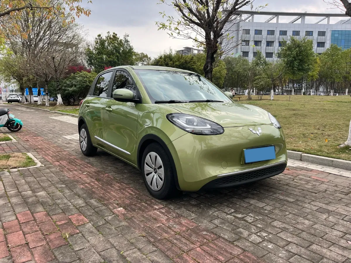 2023 WuLing BinGuo BEV 31.9KWH,autocango,china used car exporter,china ev exporter,chinese used car exporter,chinese used ev exporter