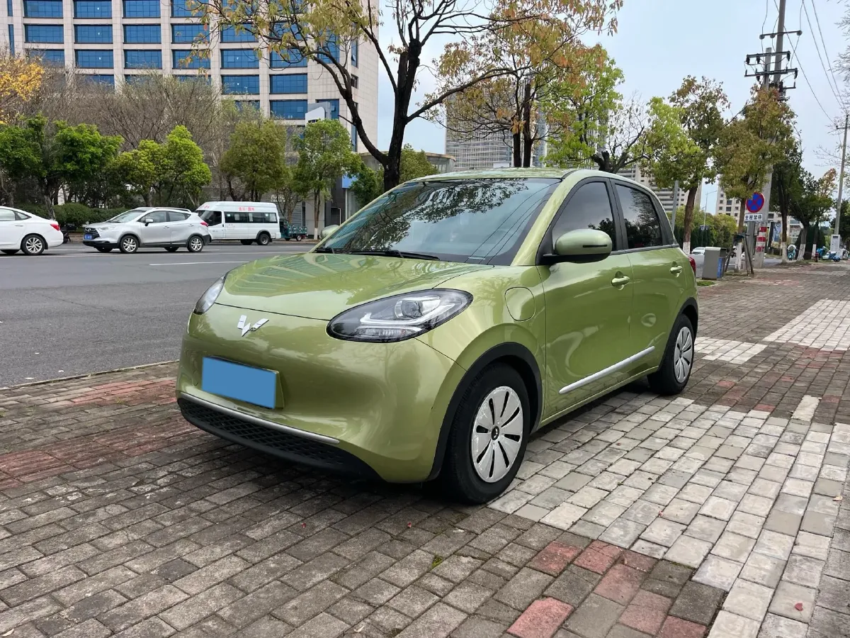 2023 WuLing BinGuo BEV 31.9KWH,autocango,china used car exporter,china ev exporter,chinese used car exporter,chinese used ev exporter