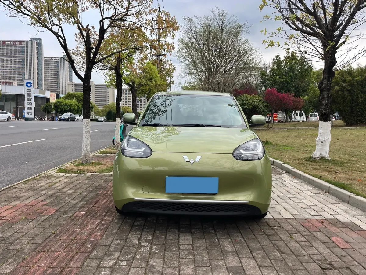 2023 WuLing BinGuo BEV 31.9KWH,autocango,china used car exporter,china ev exporter,chinese used car exporter,chinese used ev exporter