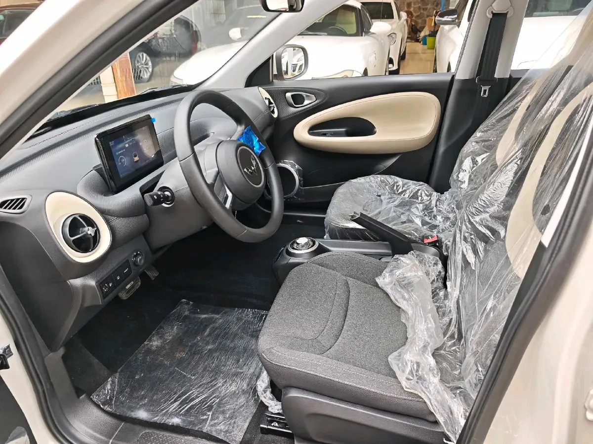 2023 WuLing BinGuo BEV 17.3KWH,autocango,china used car exporter,china ev exporter,chinese used car exporter,chinese used ev exporter