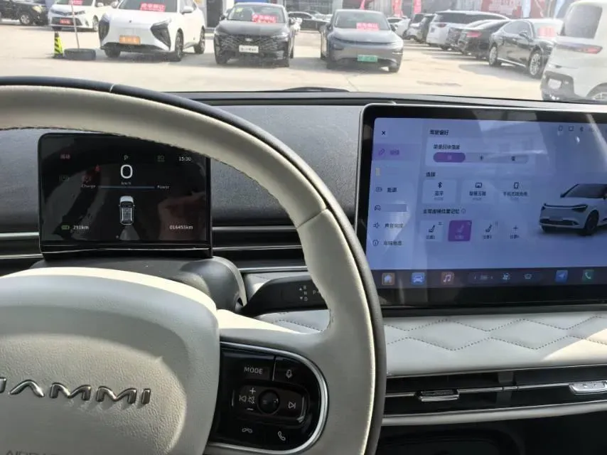 2024 DongFeng eπ 01 BEV 31.45KWH,autocango,china used car exporter,china ev exporter,chinese used car exporter,chinese used ev exporter