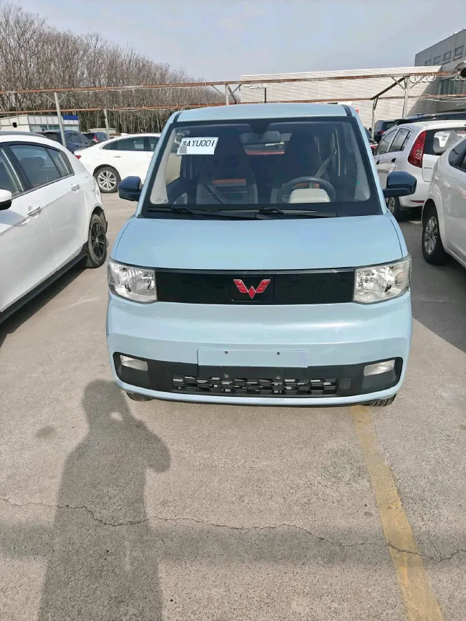 2020 WuLing HongGuang MINI EV BEV 9.3KWH,autocango,china used car exporter,china ev exporter,chinese used car exporter,chinese used ev exporter