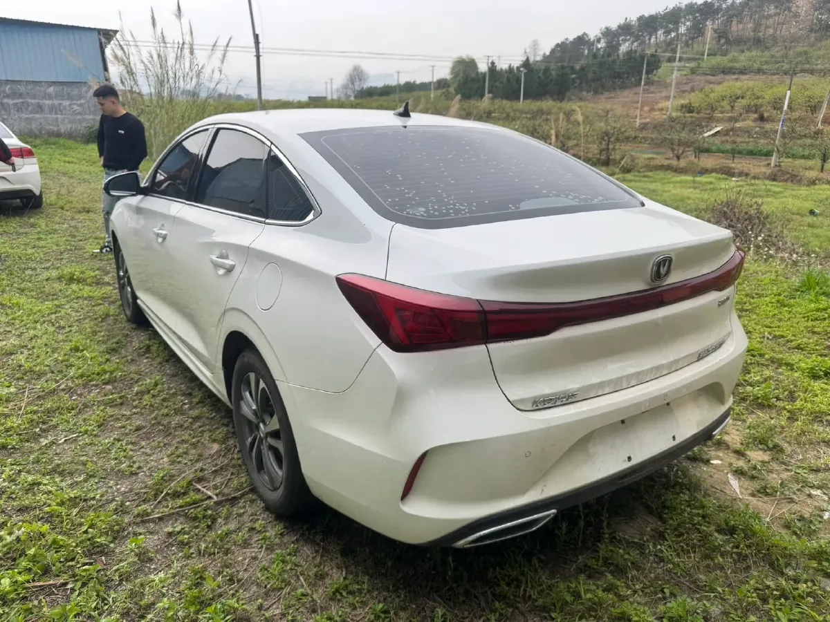 2024 ChangAn Eado 1.4T 160HP L4 7DCT,autocango,china used car exporter,china ev exporter,chinese used car exporter,chinese used ev exporter