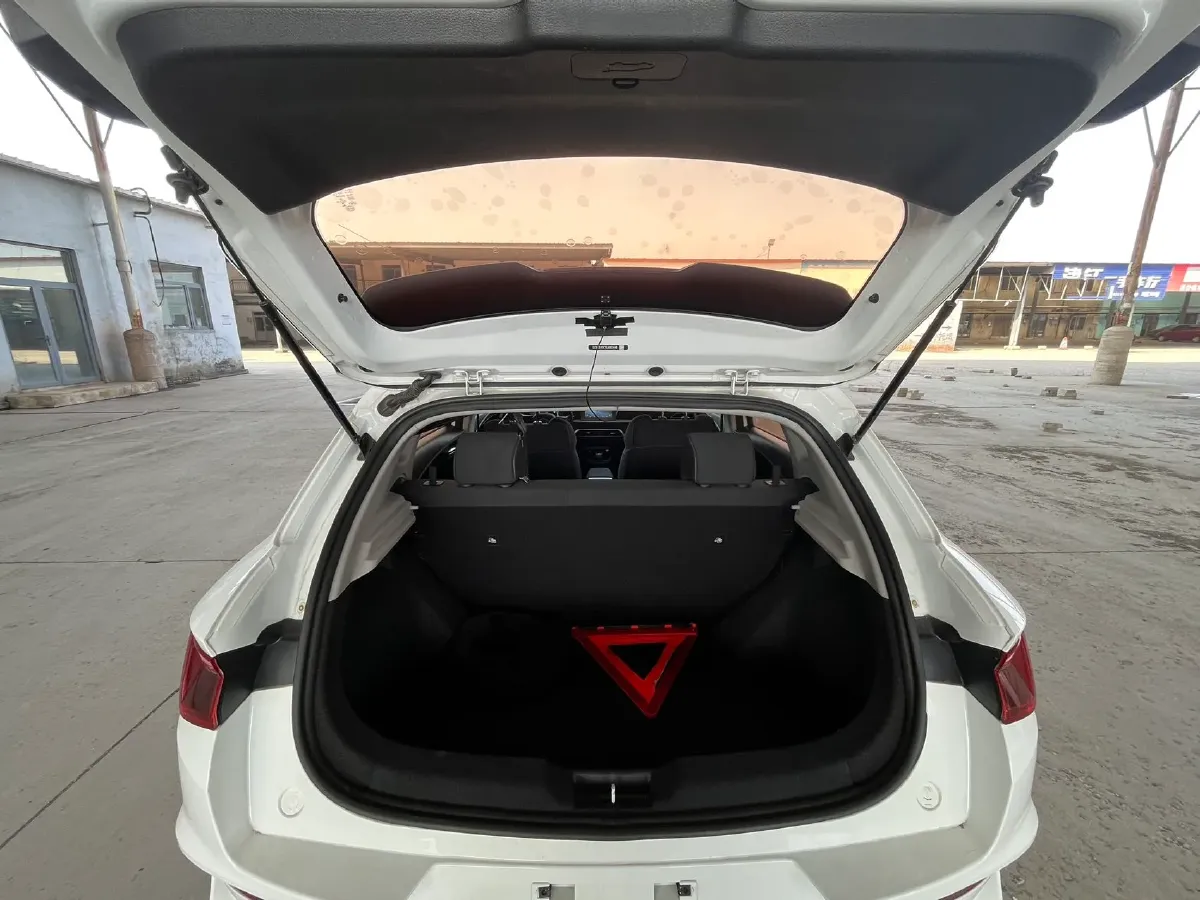 2019 BYD e2 BEV 35.2KWH,autocango,china used car exporter,china ev exporter,chinese used car exporter,chinese used ev exporter