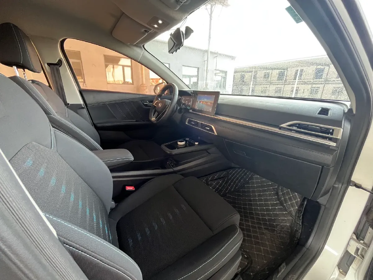 2019 BYD e2 BEV 35.2KWH,autocango,china used car exporter,china ev exporter,chinese used car exporter,chinese used ev exporter