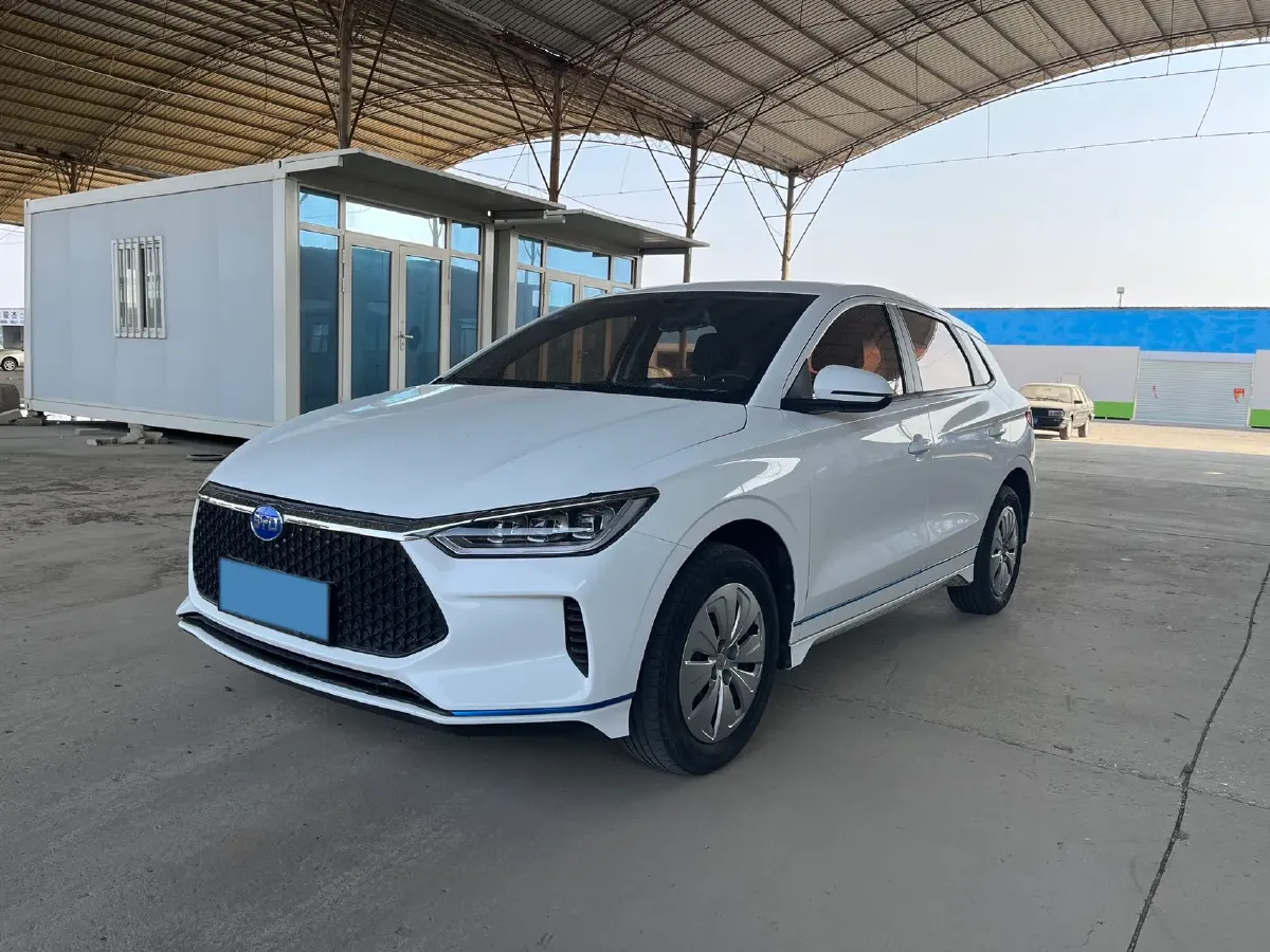 2019 BYD e2 BEV 35.2KWH,autocango,china used car exporter,china ev exporter,chinese used car exporter,chinese used ev exporter