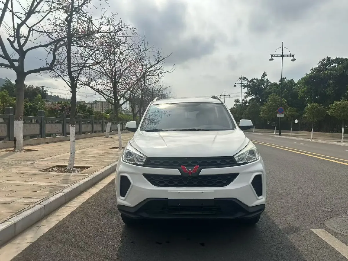 2019 WuLing HongGuang S3 1.5L 99HP L4 6MT,autocango,china used car exporter,china ev exporter,chinese used car exporter,chinese used ev exporter