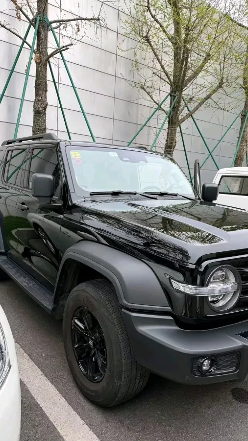 2024 Tank 300 2.0T 227HP L4 8AT,autocango,china used car exporter,china ev exporter,chinese used car exporter,chinese used ev exporter