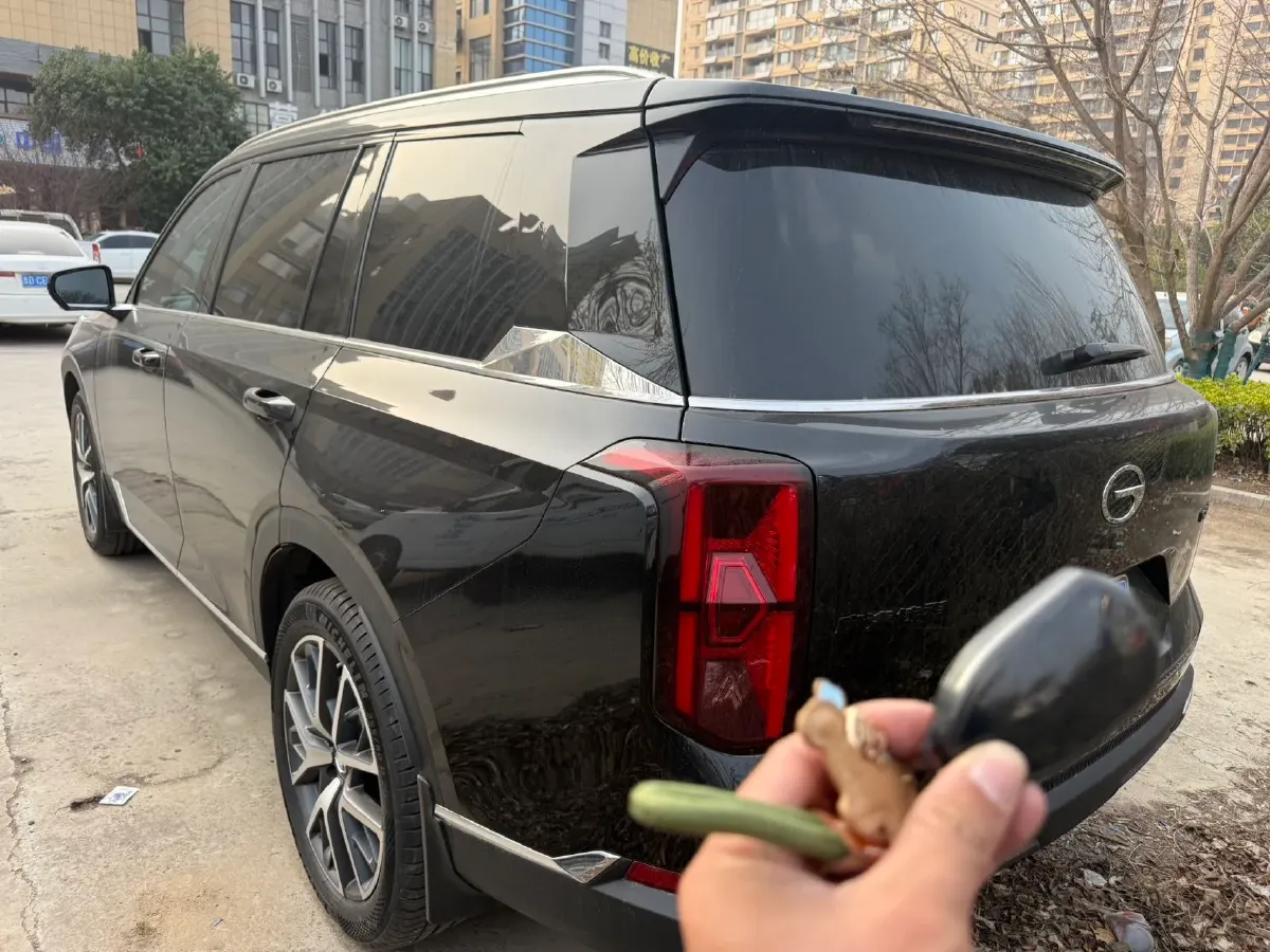 2024 GAC Trumpchi GS8 2.0T 252HP L4 8AT,autocango,china used car exporter,china ev exporter,chinese used car exporter,chinese used ev exporter