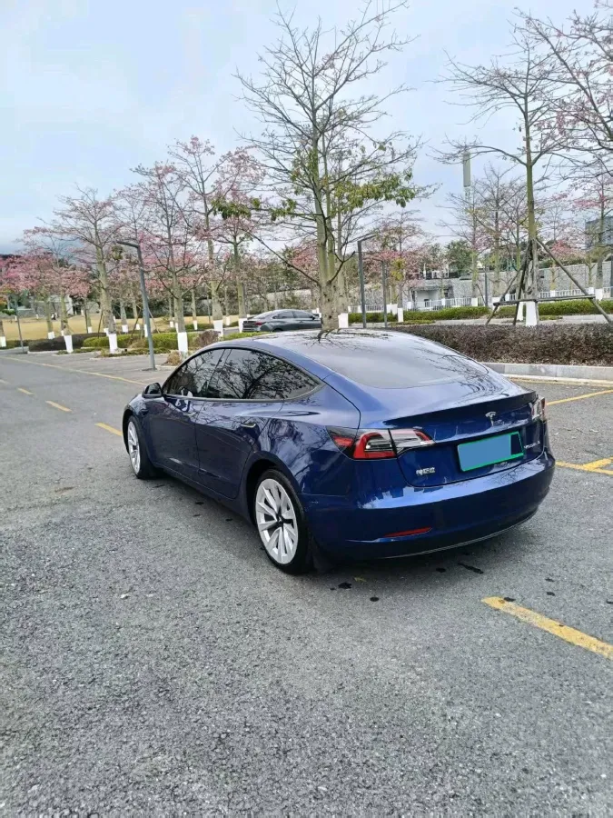 2021 Tesla Model 3 BEV 55KWH,autocango,china used car exporter,china ev exporter,chinese used car exporter,chinese used ev exporter