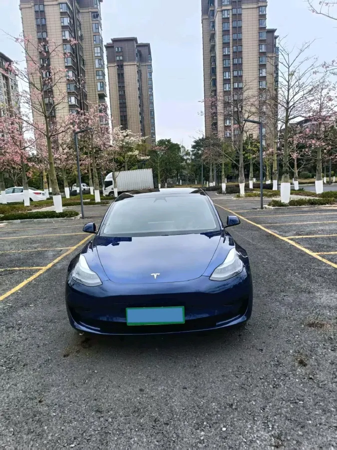 2021 Tesla Model 3 BEV 55KWH,autocango,china used car exporter,china ev exporter,chinese used car exporter,chinese used ev exporter