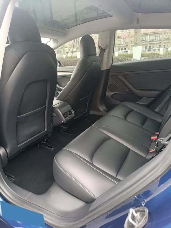 2021 Tesla Model 3 BEV 55KWH,autocango,china used car exporter,china ev exporter,chinese used car exporter,chinese used ev exporter