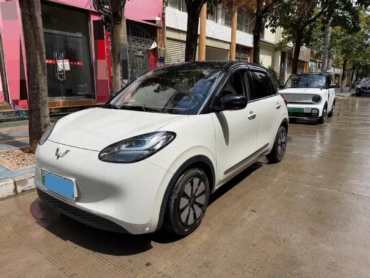 2023 WuLing BinGuo BEV 17.3KWH,autocango,china used car exporter,china ev exporter,chinese used car exporter,chinese used ev exporter