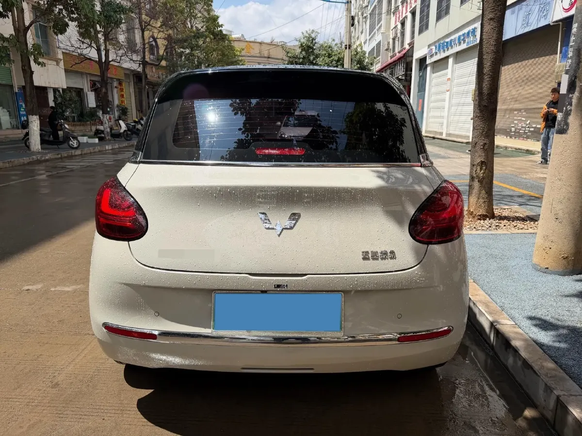 2023 WuLing BinGuo BEV 17.3KWH,autocango,china used car exporter,china ev exporter,chinese used car exporter,chinese used ev exporter
