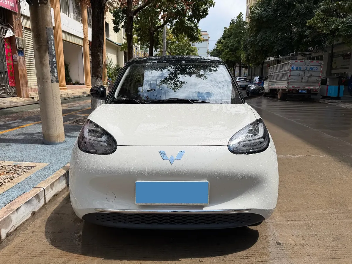 2023 WuLing BinGuo BEV 17.3KWH,autocango,china used car exporter,china ev exporter,chinese used car exporter,chinese used ev exporter