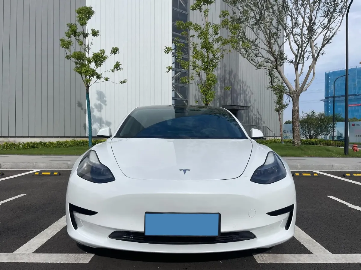 2021 Tesla Model 3 BEV 55KWH,autocango,china used car exporter,china ev exporter,chinese used car exporter,chinese used ev exporter