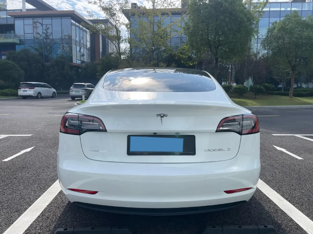 2021 Tesla Model 3 BEV 55KWH,autocango,china used car exporter,china ev exporter,chinese used car exporter,chinese used ev exporter