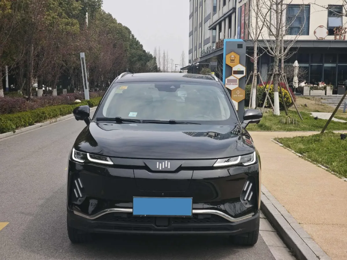 2020 Weltmeister EX6 BEV 69KWH,autocango,china used car exporter,china ev exporter,chinese used car exporter,chinese used ev exporter