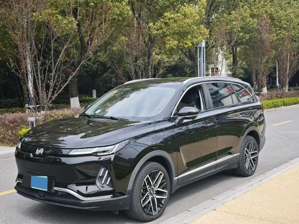 2020 Weltmeister EX6 BEV 69KWH,autocango,china used car exporter,china ev exporter,chinese used car exporter,chinese used ev exporter