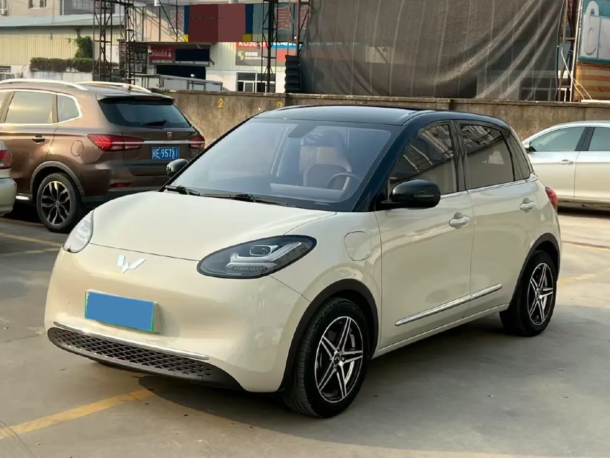 2023 WuLing BinGuo BEV 37.9KWH,autocango,china used car exporter,china ev exporter,chinese used car exporter,chinese used ev exporter