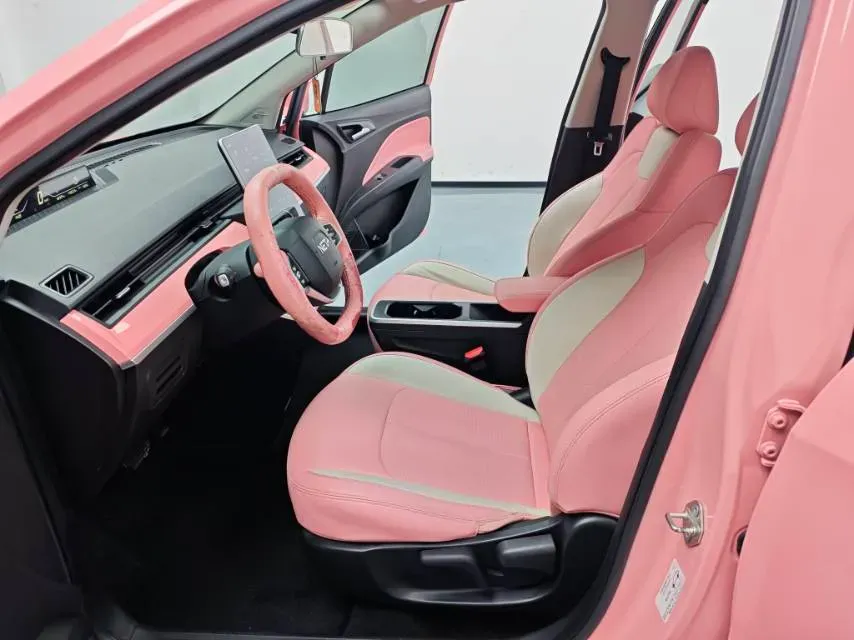 2021 Neta V BEV 31.18KWH,autocango,china used car exporter,china ev exporter,chinese used car exporter,chinese used ev exporter