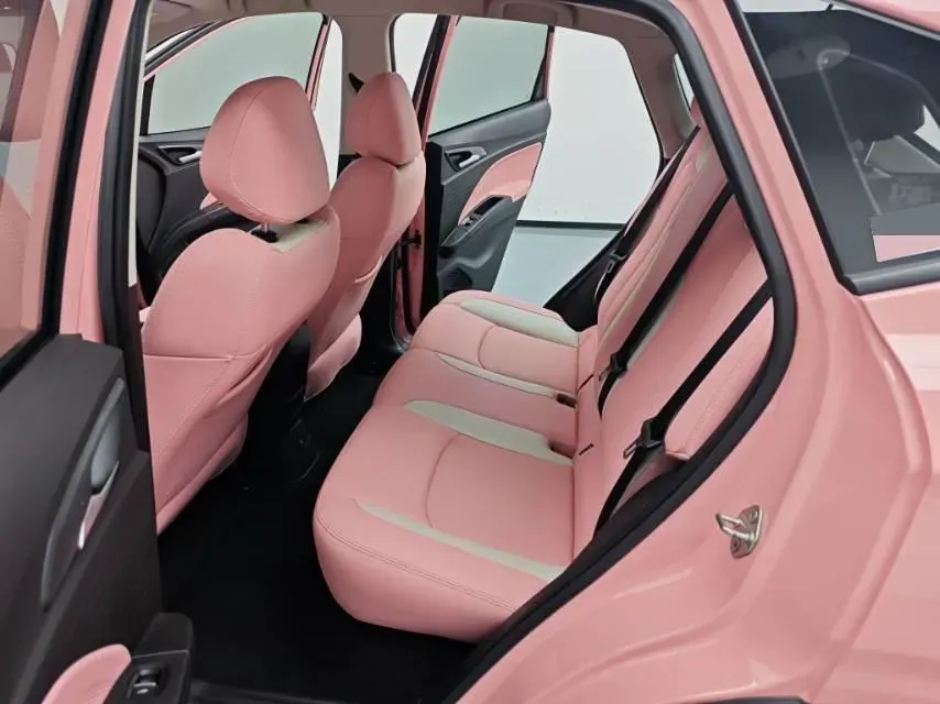 2021 Neta V BEV 31.18KWH,autocango,china used car exporter,china ev exporter,chinese used car exporter,chinese used ev exporter