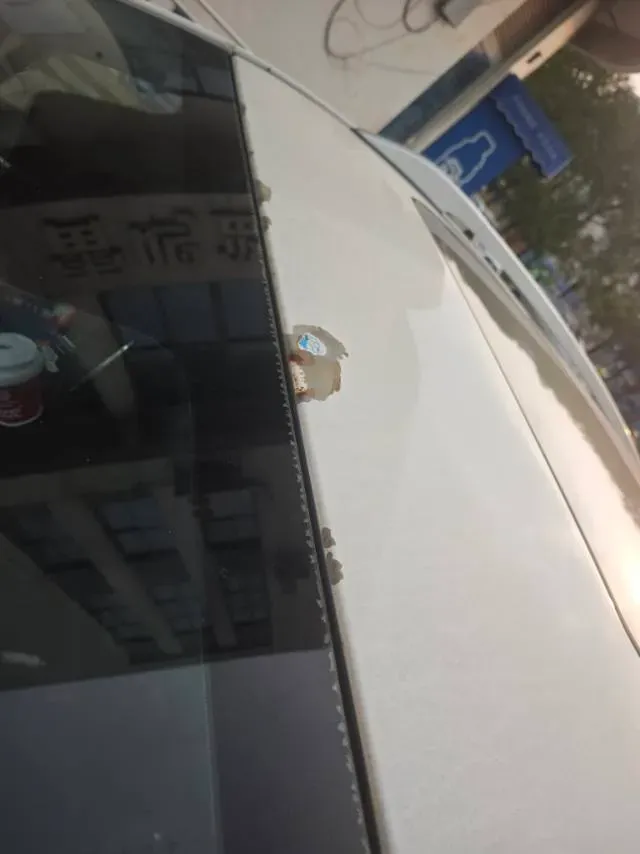 2017 GAC Trumpchi GS4 1.5T 152HP L4 6AT,autocango,china used car exporter,china ev exporter,chinese used car exporter,chinese used ev exporter