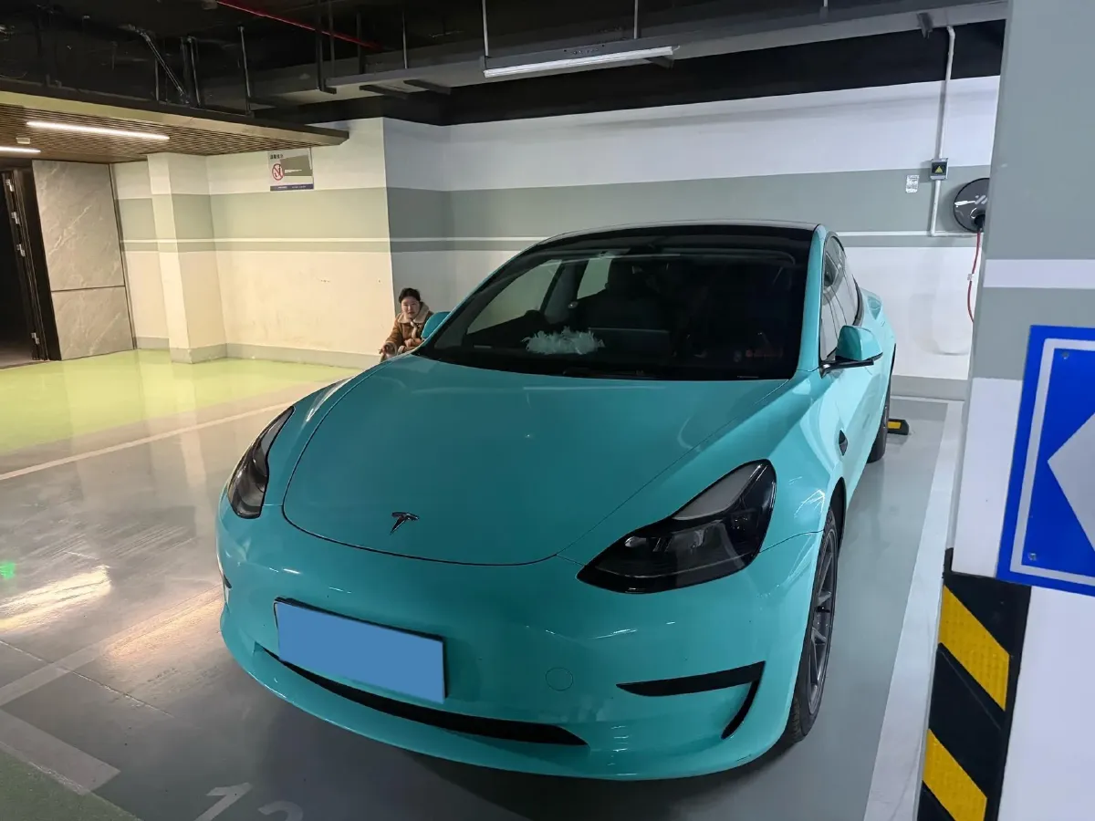 2021 Tesla Model 3 BEV 55KWH,autocango,china used car exporter,china ev exporter,chinese used car exporter,chinese used ev exporter