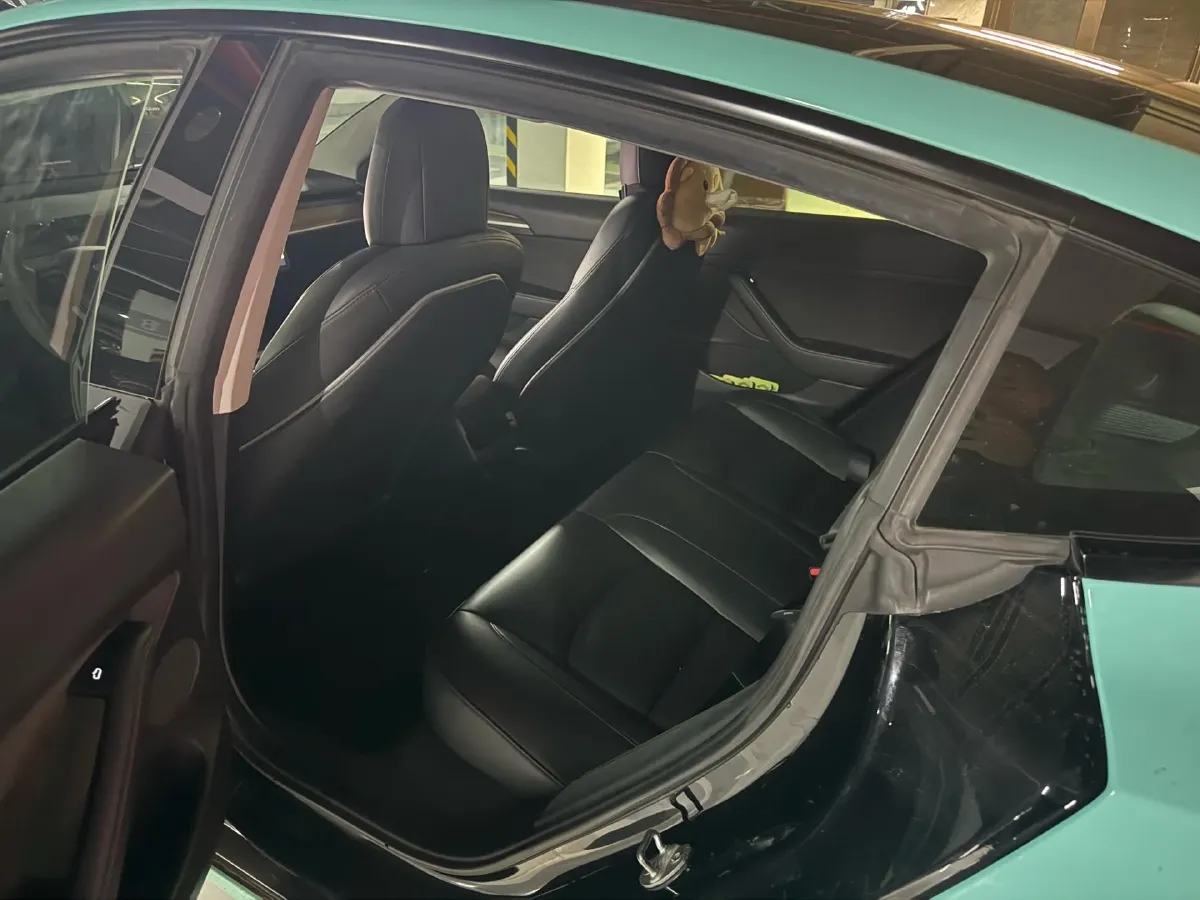 2021 Tesla Model 3 BEV 55KWH,autocango,china used car exporter,china ev exporter,chinese used car exporter,chinese used ev exporter