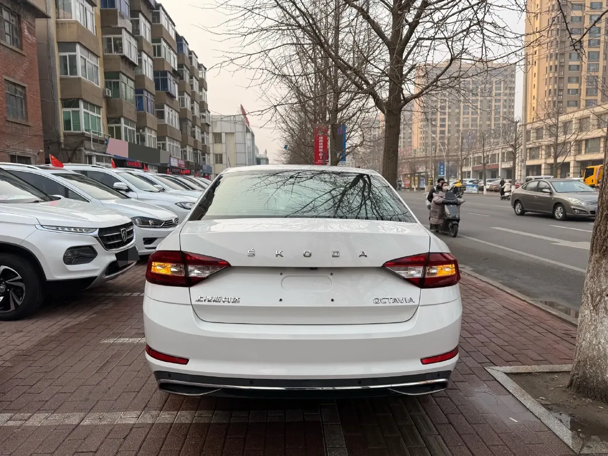 2019 Skoda Octavia 1.5L 116HP L4 6AT,autocango,china used car exporter,china ev exporter,chinese used car exporter,chinese used ev exporter