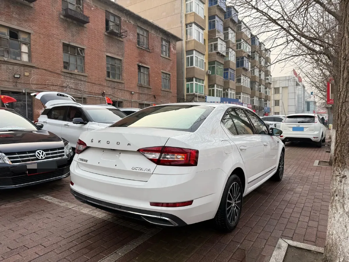 2019 Skoda Octavia 1.5L 116HP L4 6AT,autocango,china used car exporter,china ev exporter,chinese used car exporter,chinese used ev exporter