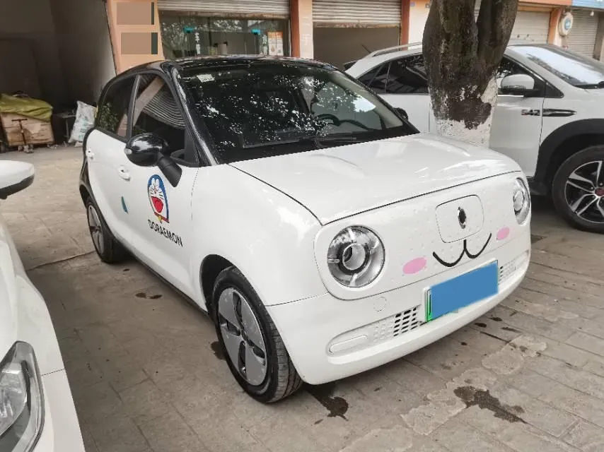 2021 Ora BlackCat BEV 28.5KWH,autocango,china used car exporter,china ev exporter,chinese used car exporter,chinese used ev exporter