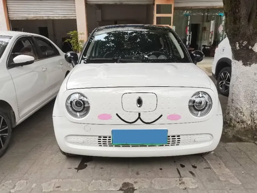 2021 Ora BlackCat BEV 28.5KWH,autocango,china used car exporter,china ev exporter,chinese used car exporter,chinese used ev exporter