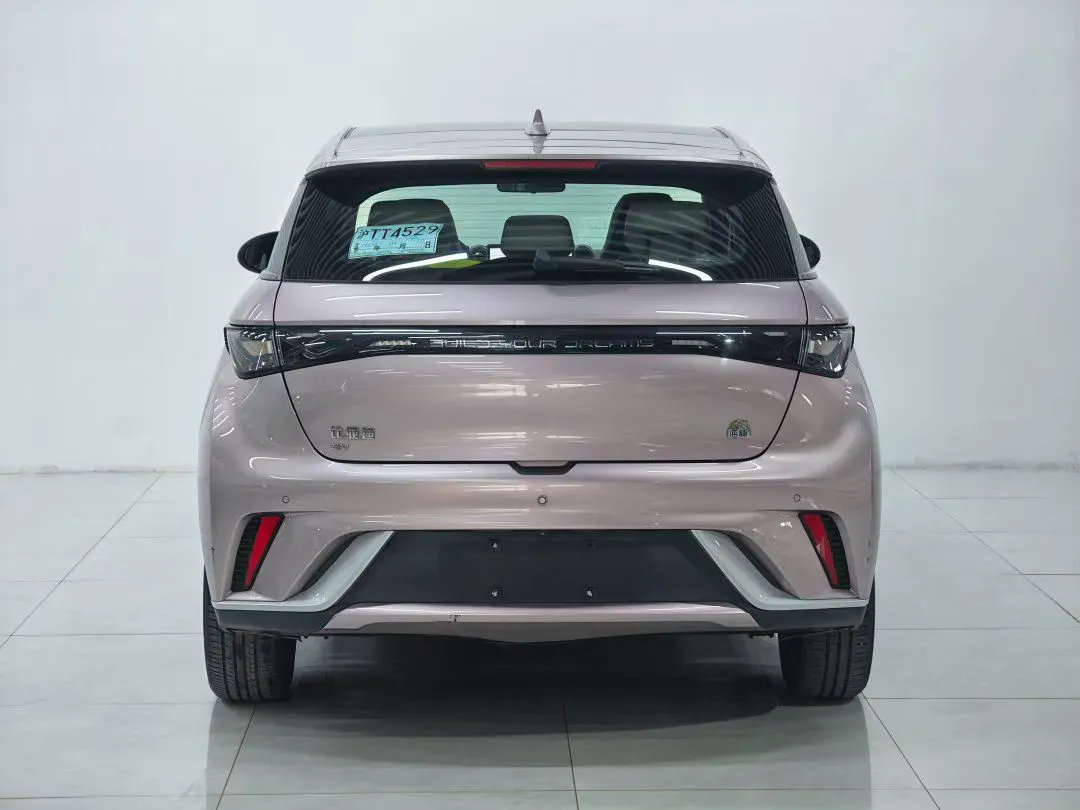 2023 BYD Dolphin BEV 44.928KWH,autocango,china used car exporter,china ev exporter,chinese used car exporter,chinese used ev exporter