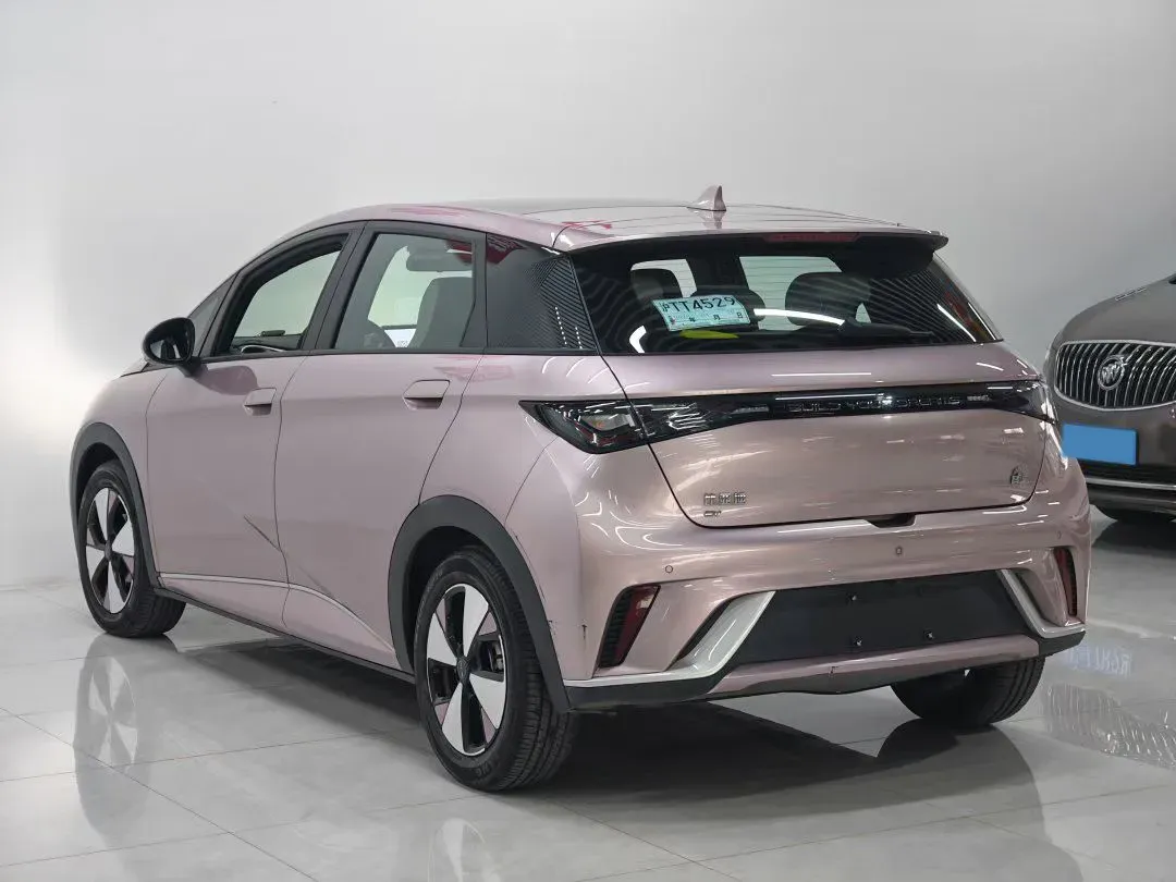 2023 BYD Dolphin BEV 44.928KWH,autocango,china used car exporter,china ev exporter,chinese used car exporter,chinese used ev exporter