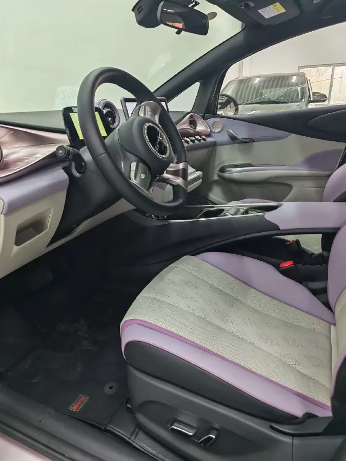 2023 BYD Dolphin BEV 44.928KWH,autocango,china used car exporter,china ev exporter,chinese used car exporter,chinese used ev exporter