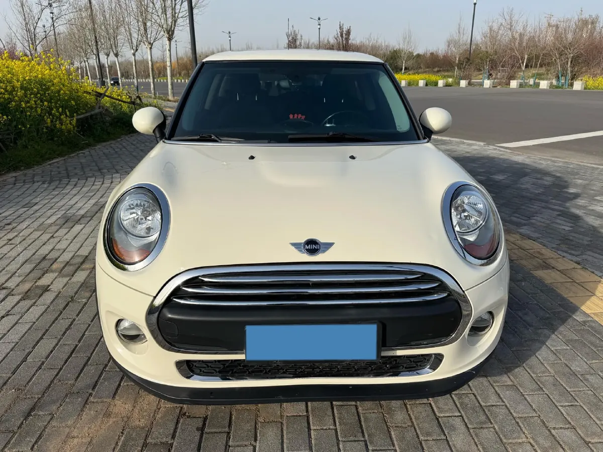 2018 Ora iQ BEV 46.57KWH,autocango,china used car exporter,china ev exporter,chinese used car exporter,chinese used ev exporter