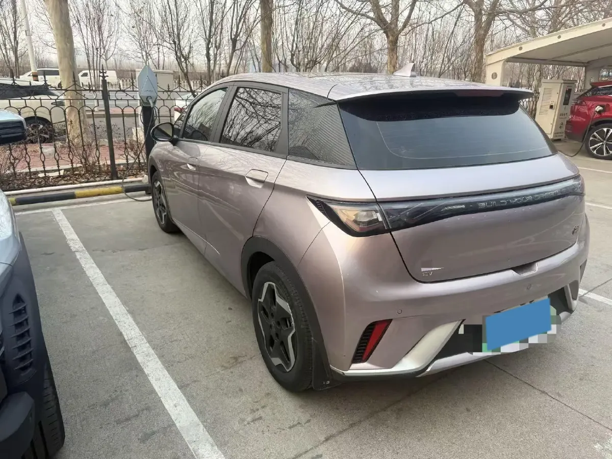 2023 BYD Dolphin BEV 44.928KWH,autocango,china used car exporter,china ev exporter,chinese used car exporter,chinese used ev exporter