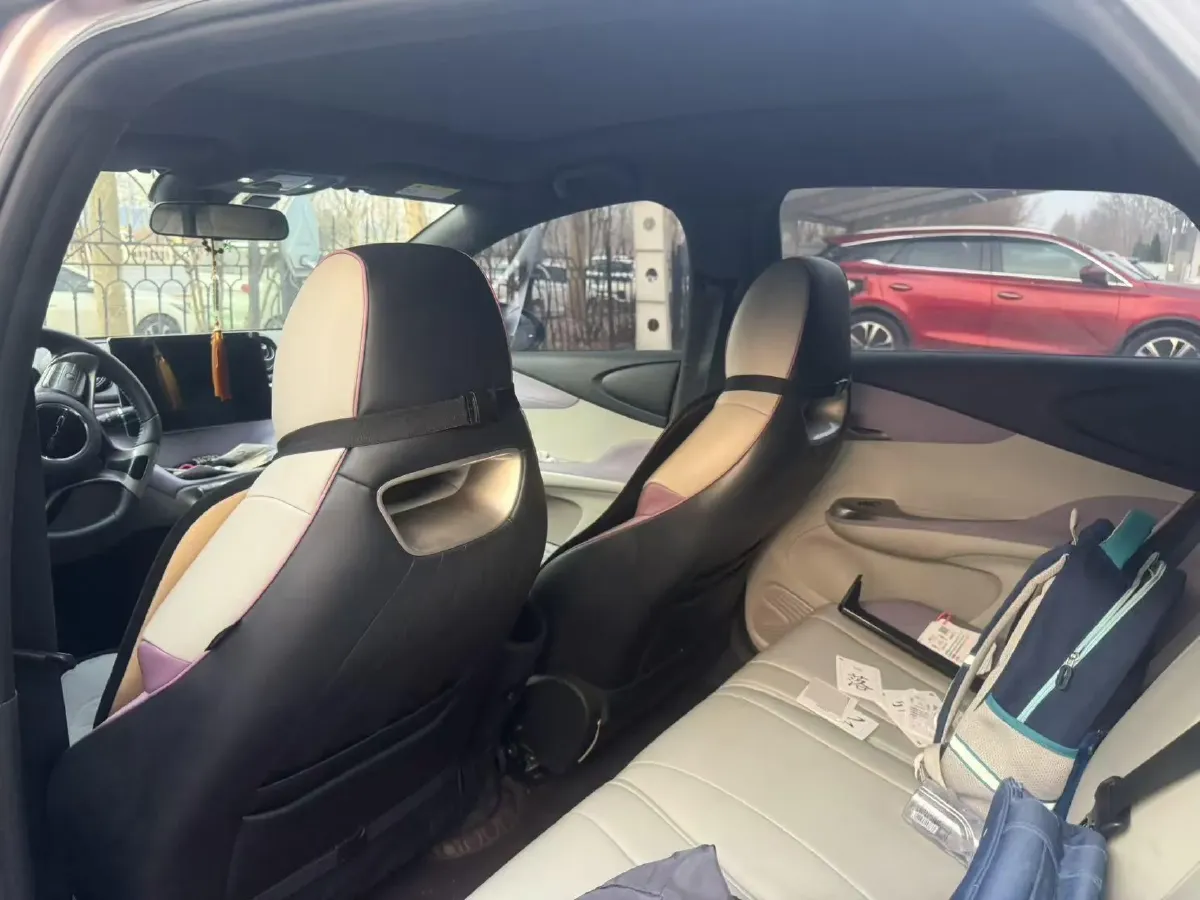 2023 BYD Dolphin BEV 44.928KWH,autocango,china used car exporter,china ev exporter,chinese used car exporter,chinese used ev exporter