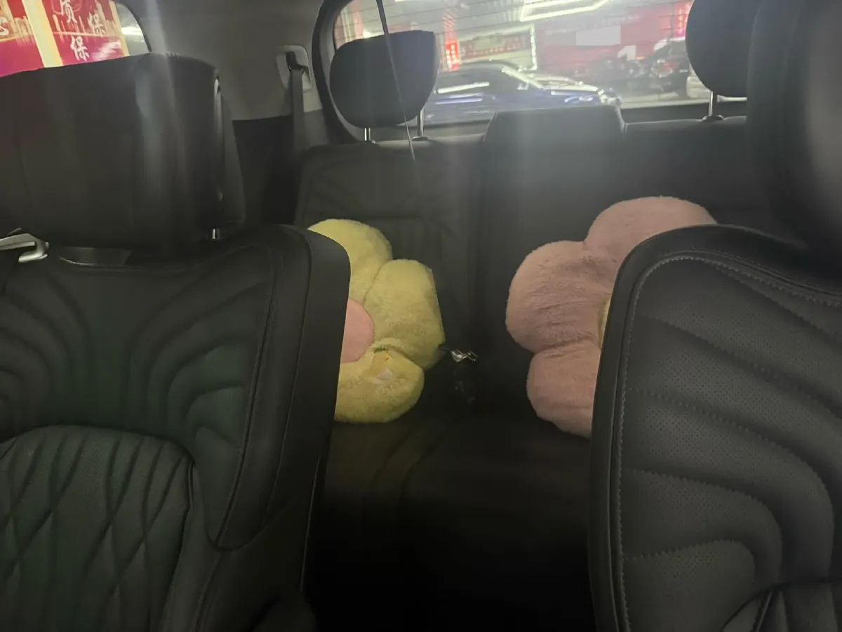 2024 GAC Trumpchi M8 2.0T 252HP L4 8AT,autocango,china used car exporter,china ev exporter,chinese used car exporter,chinese used ev exporter