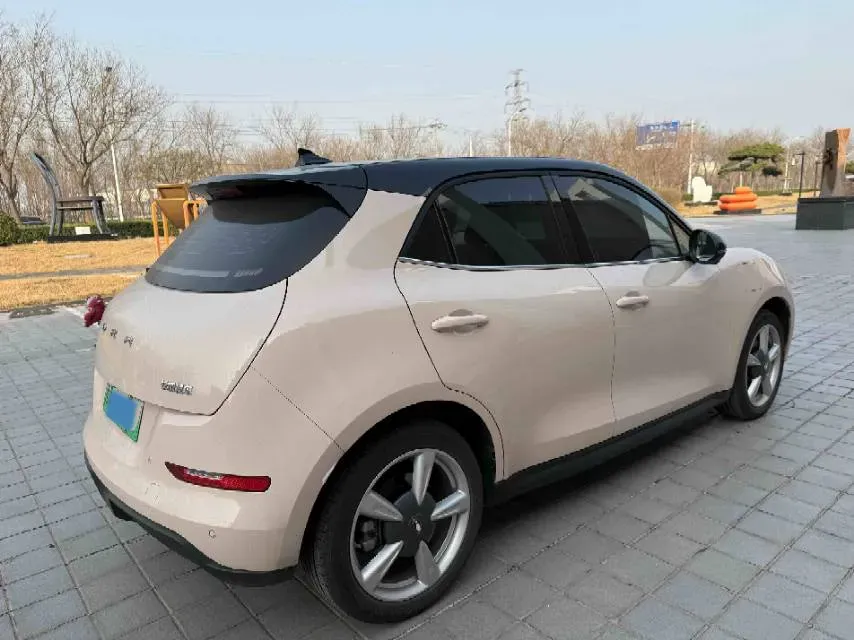2023 Ora FunkyCat BEV 45.99KWH,autocango,china used car exporter,china ev exporter,chinese used car exporter,chinese used ev exporter