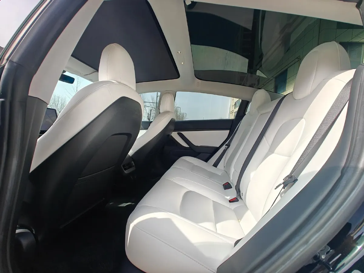 2020 Tesla Model 3 BEV 55KWH,autocango,china used car exporter,china ev exporter,chinese used car exporter,chinese used ev exporter